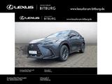 Lexus NX 350 Business - Lexus NX 350h Neuwagen