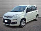Fiat Panda 1.2 Young - Fiat Panda: Young