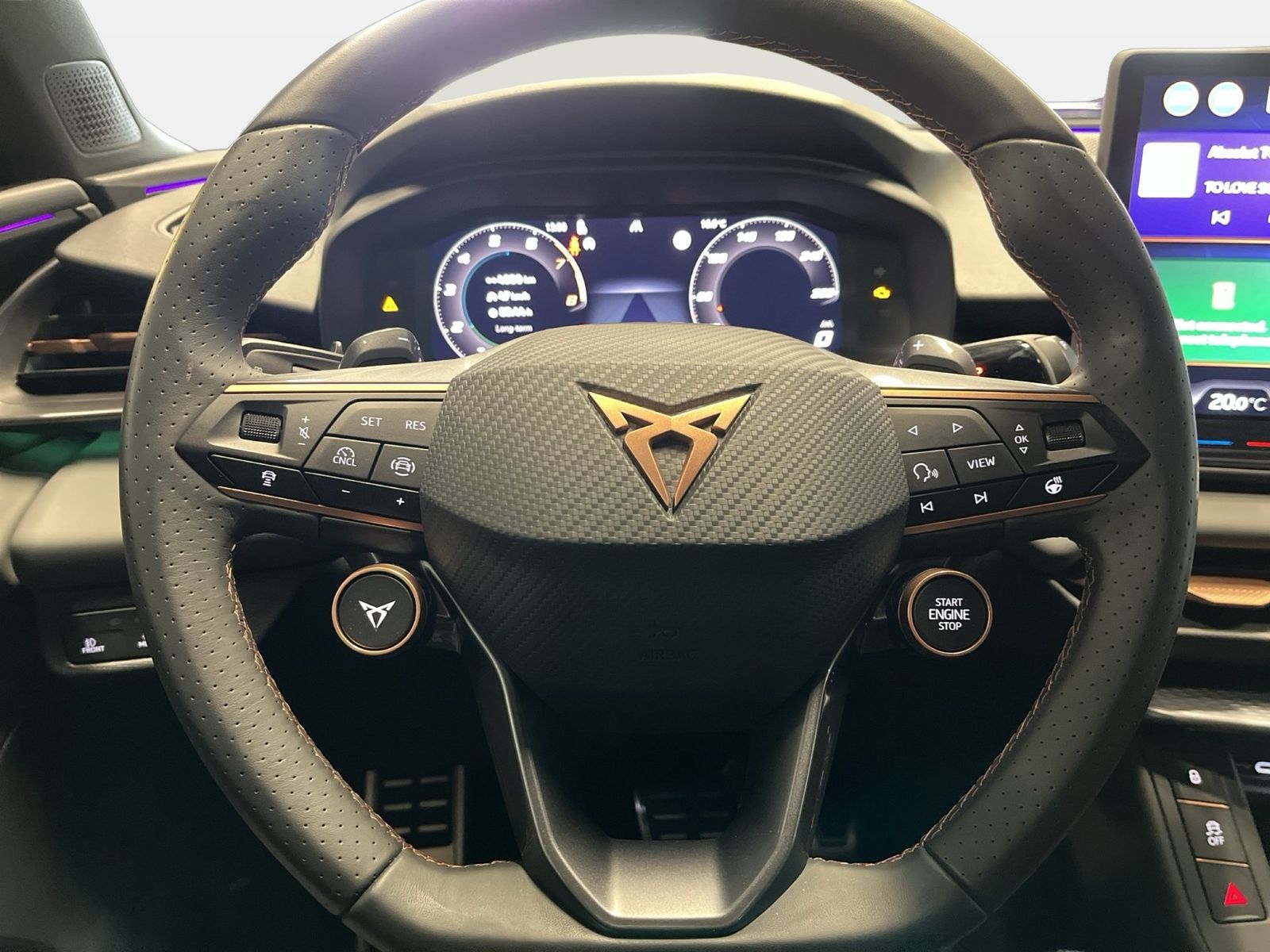 Cupra Terramar - Bild 18