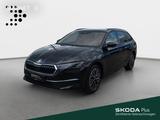 Skoda Octavia Combi 2.0 TDI Selection DSG Navi*AHK*StH - Skoda Octavia Jahreswagen mit Diesel-Antrieb: Kombi