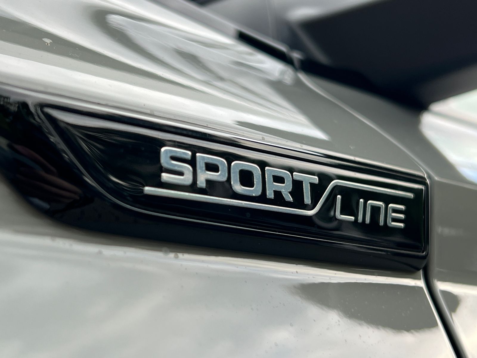 Fahrzeugabbildung SKODA Karoq Sportline 2.0 TSI 4x4 DSG *CANTON, AHK, 19