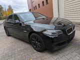 BMW 535i Leder - M Sportfahrwerk - Navi Professional - BMW 535: 535i M Sport