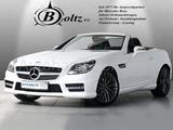 Mercedes-Benz SLK 200 AMG Line Klima Navi ASC Leder - Mercedes-Benz SLK 200 in Mannheim