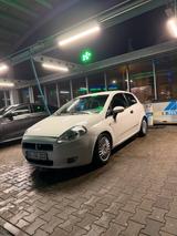 Fiat Punto 1.4 (TÜV Neu) - Fiat Punto in Dortmund