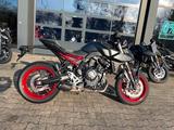 Suzuki GSX-8S ABS A2 35KW/48PS  MY25  Euro 5+ - Angebote
