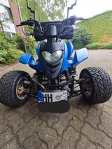 Shineray STXE 250 TÜV NEU - QUAD 250