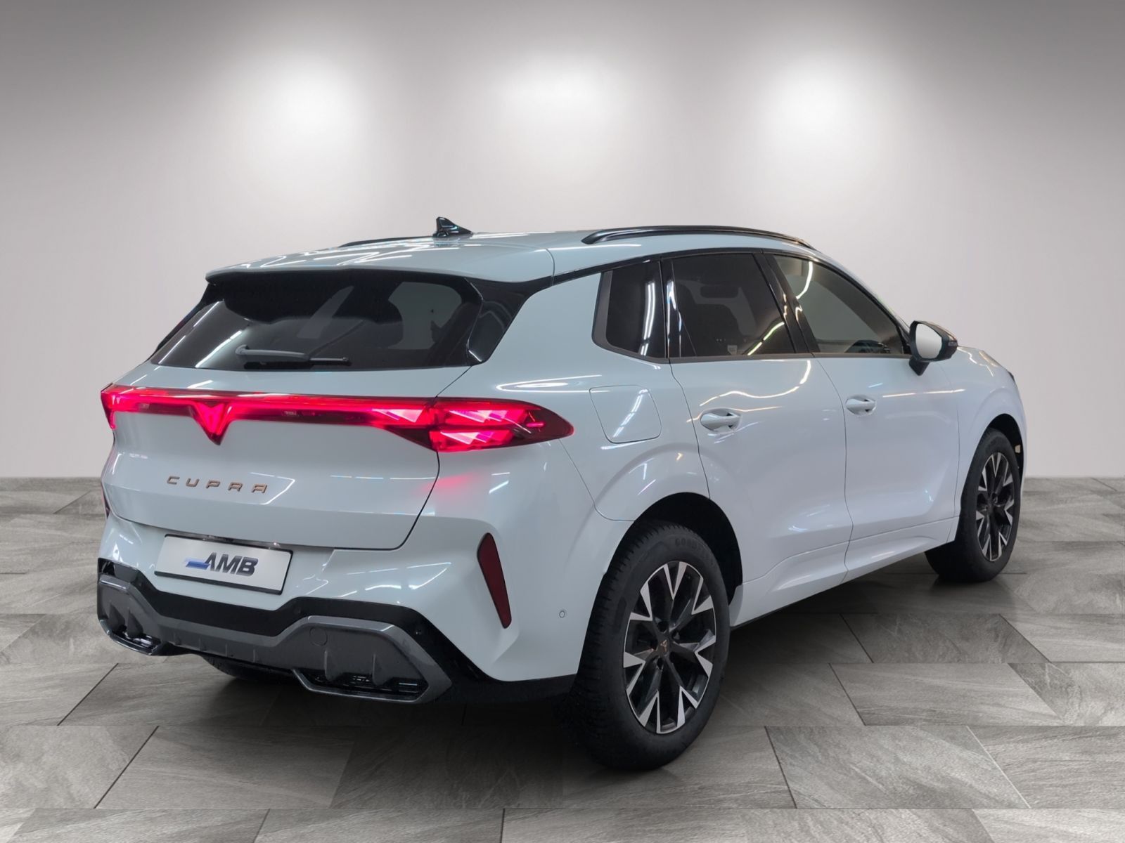Cupra Terramar 1.5 e-HYBRID Matrix HuD Edge 10.30Garan foto 3