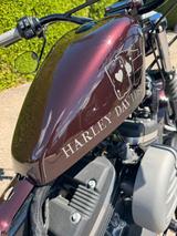 Harley-Davidson Iron 883 XL Sportster Custom Bike ABS - Angebote