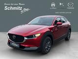 Mazda CX-30 Prime-Line 140PS HUD Navi Apple CarPlay An - Mazda CX-30 mit Benzin-Antrieb: Prime Line