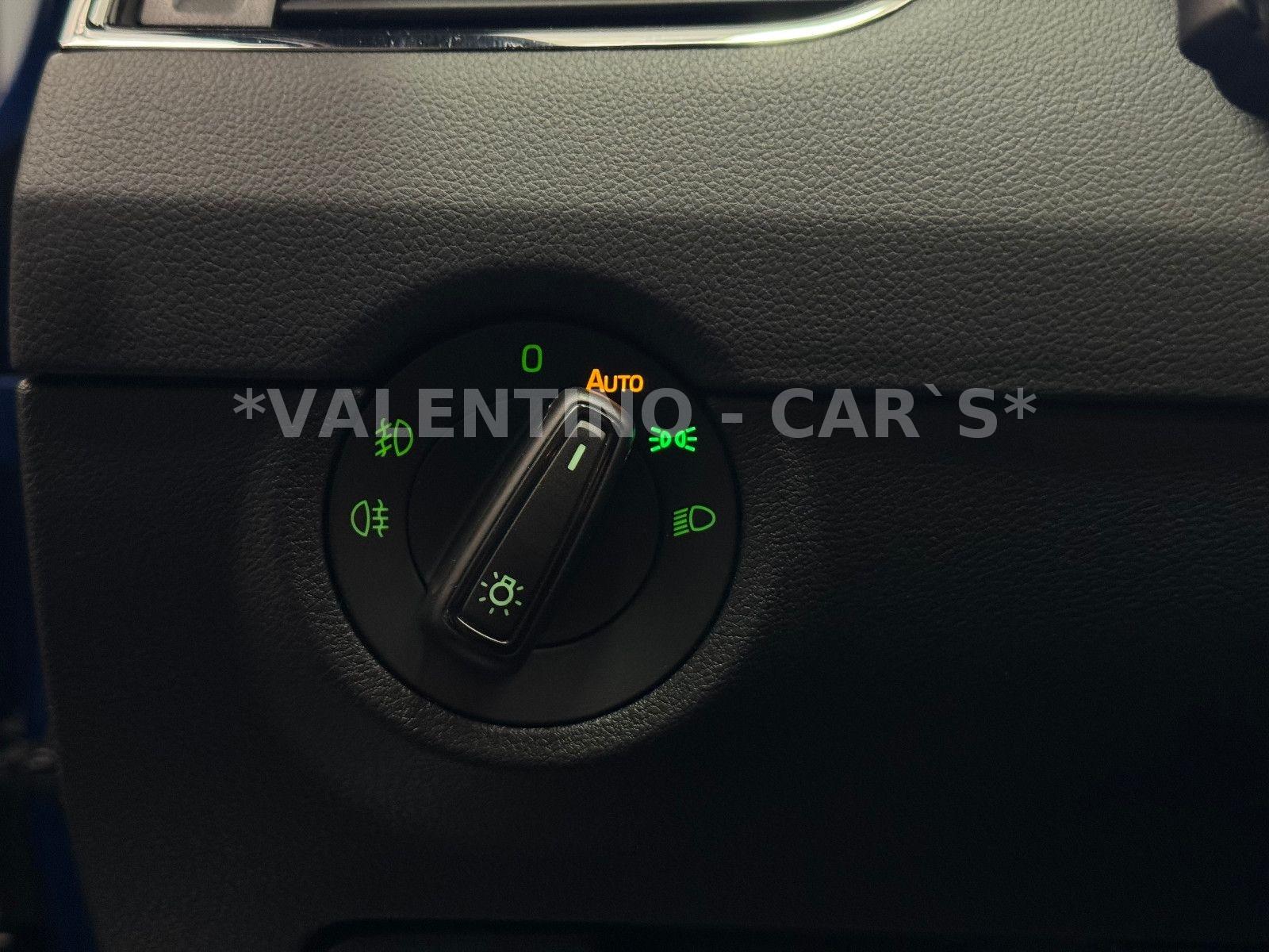 Skoda Octavia Combi RS DSG/Pano/Navi/PDC/Shz/Canton