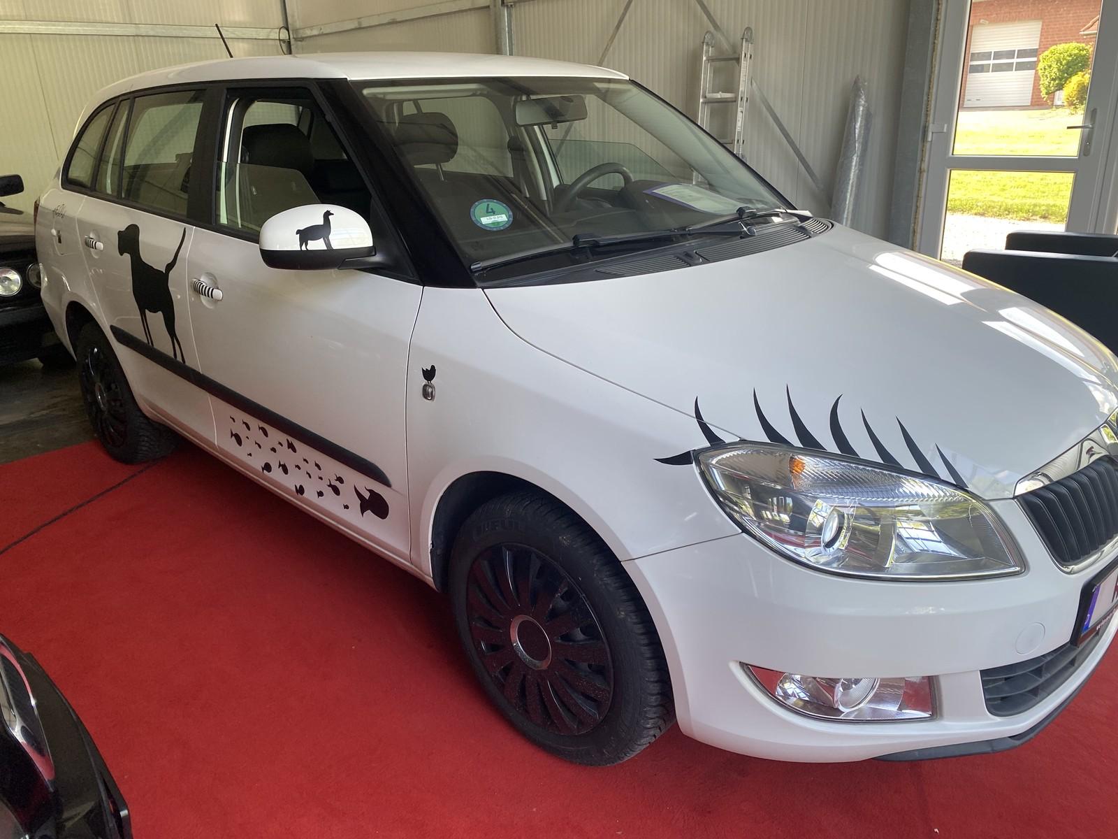 Skoda Style Animal nur 99,- montl.