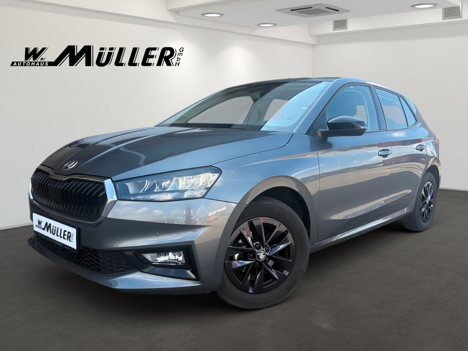 Fahrzeugabbildung SKODA Fabia Selection