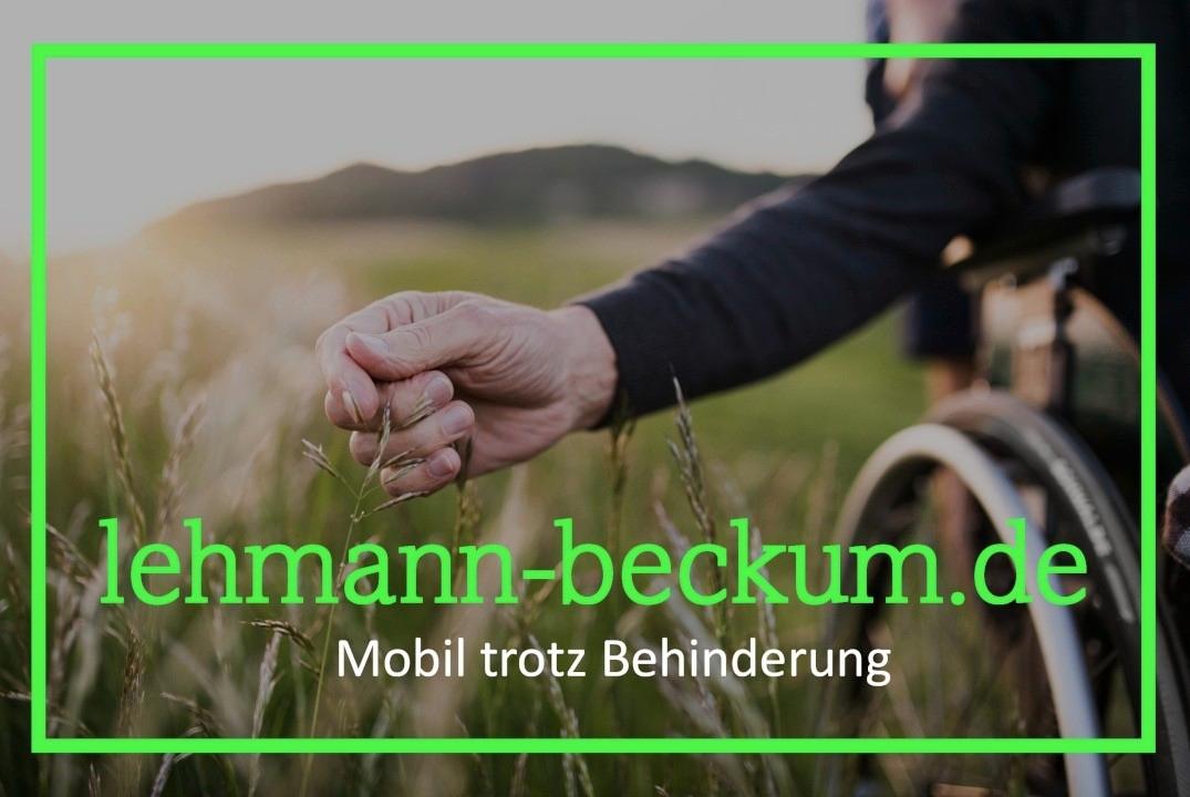 Volkswagen Caddy Life Rollstuhlrampe Heckausschnitt Kam Nav