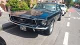 Ford Mustang, A-Code, Automatic, Pony de luxe - gebrauchte Ford Mustang aus dem Jahr 1967