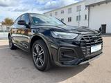 Audi Q5 40 TDI Sportb. qu. S line ACC/360°/B&O/LED - Audi Q5: Sportwagen
