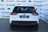 Toyota RAV 4 Plug-in-Hybrid Teamplayer - Toyota mit Hybrid-Antrieb: Plug In