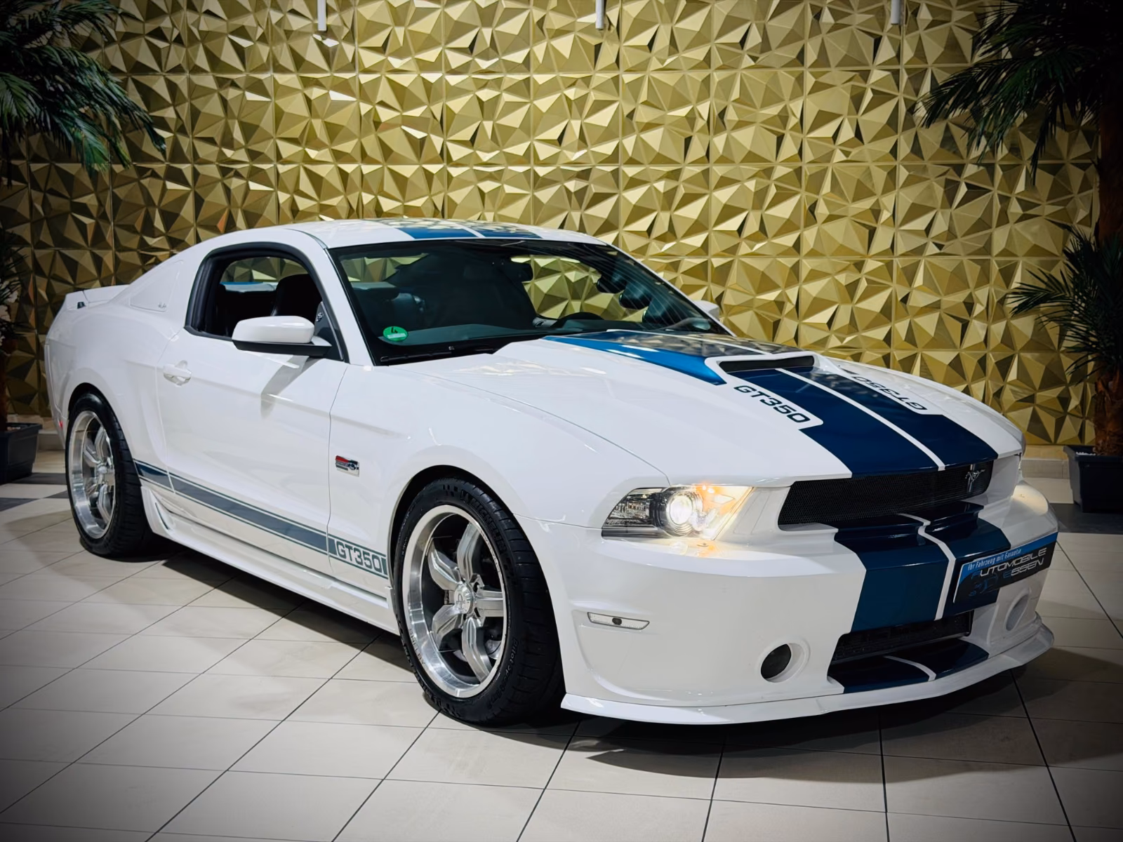 Ford Mustang Shelby American GT 350|624PS|CSM|SAMMLER