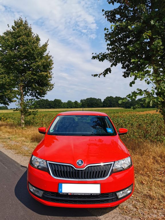 Image of Skoda Rapid