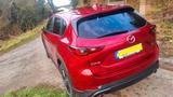 Mazda CX-5 2.0 e-SKYACTIV-G 165 Ad'vantage FWD Ad'... - Mazda CX-5 Ad'vantage Gebrauchtwagen