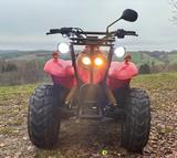 Mz Panther 50 - Angebote