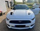 Ford Mustang 5.0 Ti-VCT V8 GT  - Ford in Villingen-Schwenningen