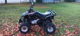 Kymco Maxxer 250 - QUAD VON 126 BIS 250 CCM
