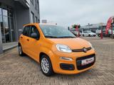 Fiat Panda Base 1.0l*Hybrid, Klimaanlage,mwst.* - gebrauchte Fiat Panda aus dem Jahr 2021