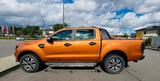 Ford Ranger Wildtrack 3,2 Rollo&Hardtop&Offroadp.  - Ford Ranger: Hardtop
