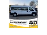 Fiat Ducato Bus mit Rollstuhlrampe 9 Einzelsitze uvm - Fiat Ducato: 9