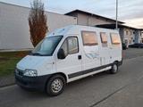 Knaus Boxstar 540, Ducato 244 2.3 Jtd, Klima, AHK   - Knaus 540