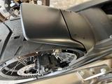 Harley-Davidson Pan America Special inkl. Koffer  - HARLEY-DAVIDSON BENZIN ENDURO