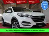 Hyundai Tucson 1.6 Turbo 2WD *AHK* !! Motorschaden !! - : Motorschaden