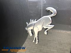 Foto Nummer 33: FORD Bronco