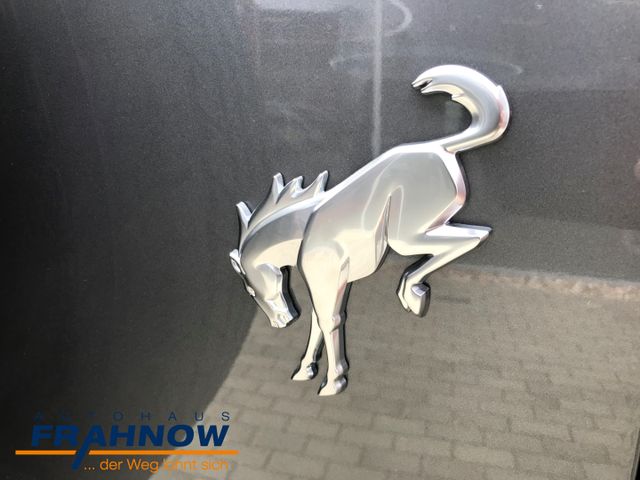 Foto Nummer 33: FORD Bronco