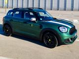 MINI One Countryman|AHK|DAB+|DTE Chiptuning|PPF Folie - MINI One Countryman von privat