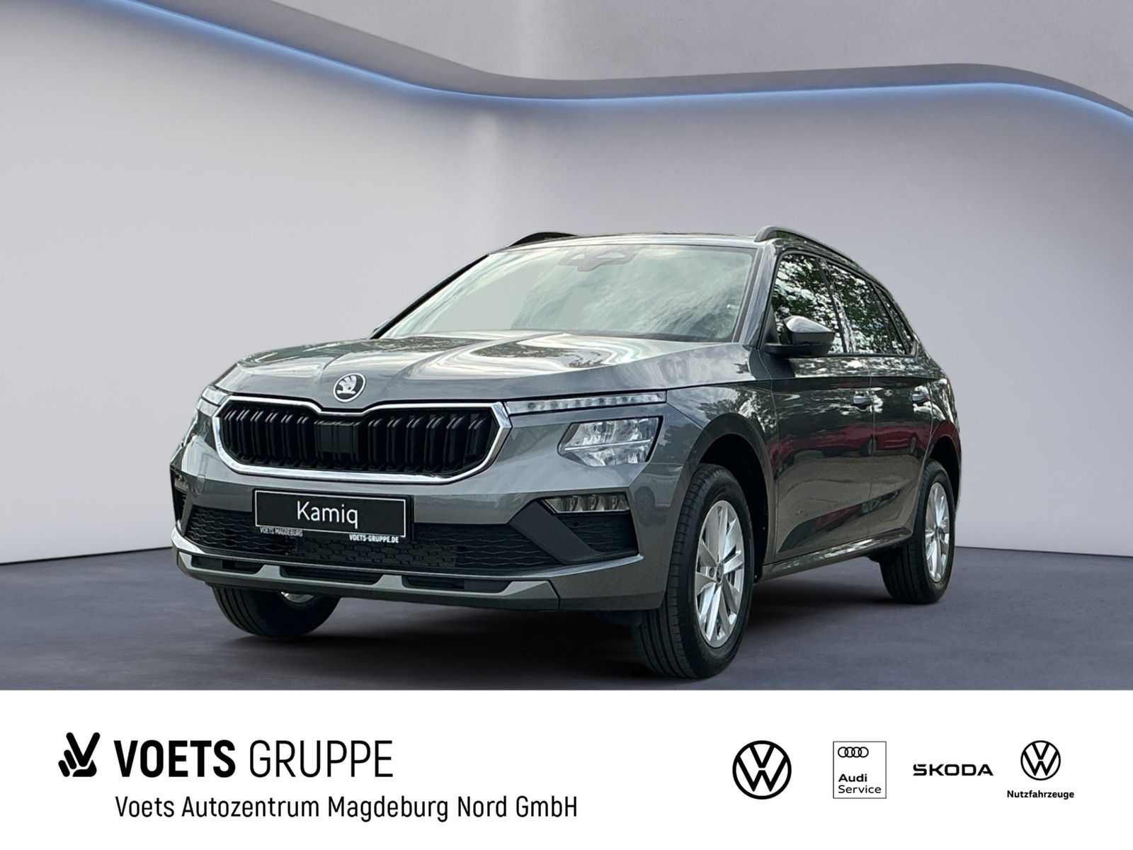 Skoda Kamiq Selection 1.0TSI LED+DAB+PDC+WINTERPAKET+