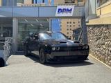 Dodge Challenger - Dodge Challenger Tageszulassungen