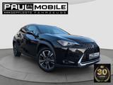 Lexus Andere UX 250 h Navi ACC LED R-Cam PDC v+h - Lexus Gebrauchtwagen in Stuttgart