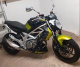 Suzuki Gladius SFV 650 - tolle Farbkombi grün-schwarz - SUZUKI GR650