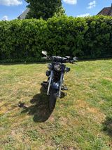 Harley-Davidson Softtail Slim - Offers matching your search criteria