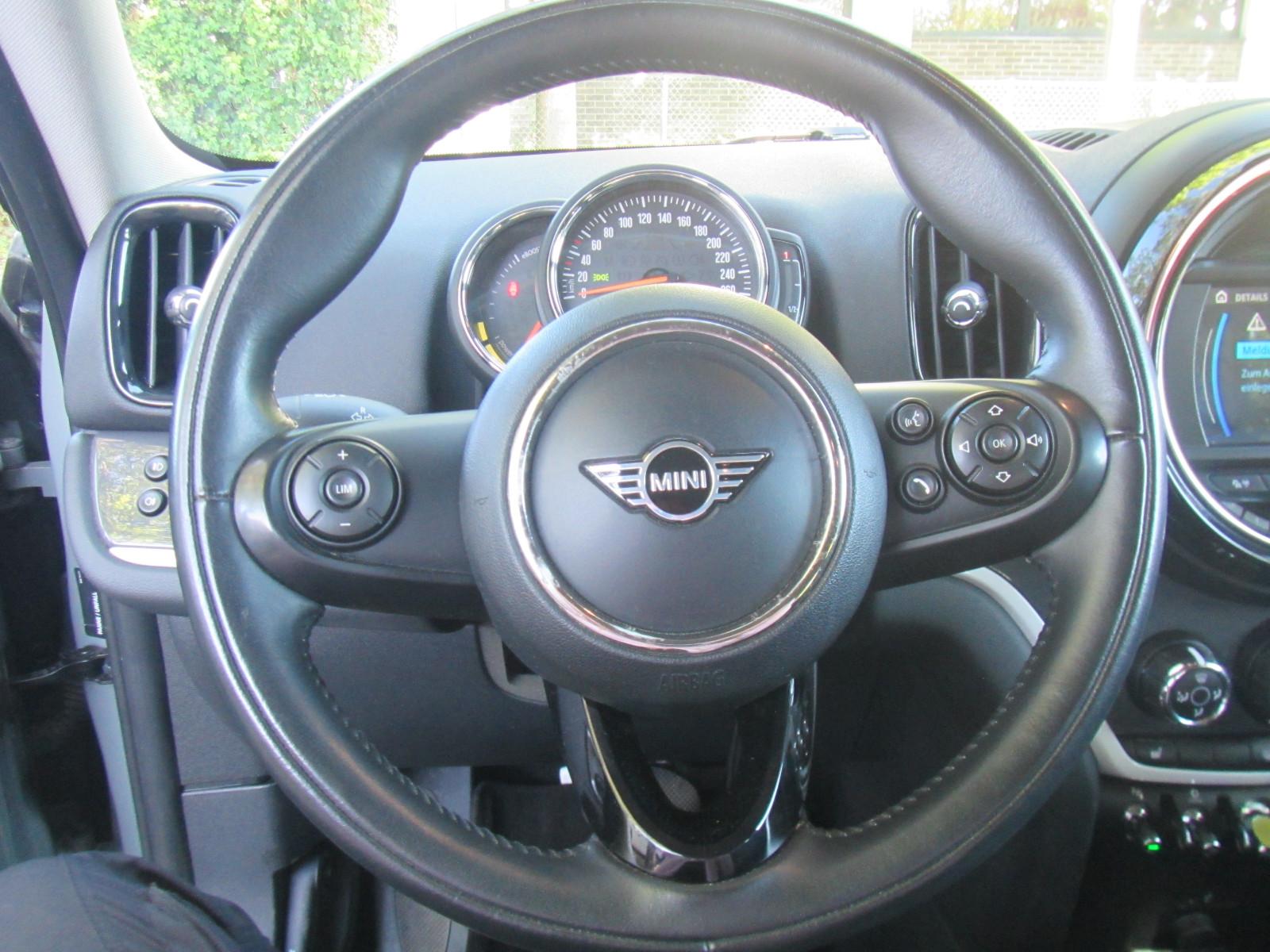 MINI Cooper SE Countryman ALL4 Navi LED PDC Autom.
