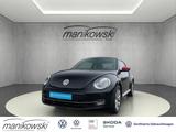 Volkswagen Beetle 1.2TSI DSG *Club*Navi+GRA+BT+PDC+Stzhzg+L - gebrauchte VW Beetle aus dem Jahr 2015