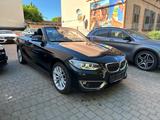 BMW 220 i Cabrio Luxury/Wenig KM ! Leder /Kamera/LED - gebrauchte Cabrios in Worms