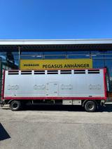 Schwarzmüller 18 Tonnen Viehanhänger  2 Achser  Kamera - Offers