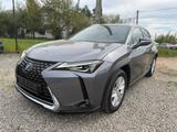 Lexus UX 250 h - Lexus aus 2021