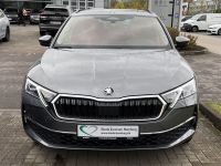 Skoda Octavia - Vorschau Bild 2