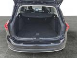 Ford Focus Active 155 PS Navi+ACC+LED+Kamera+WinterP. - Ford Vorführfahrzeuge