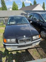 BMW E36 316i - BMW 316 aus 1993: 316i