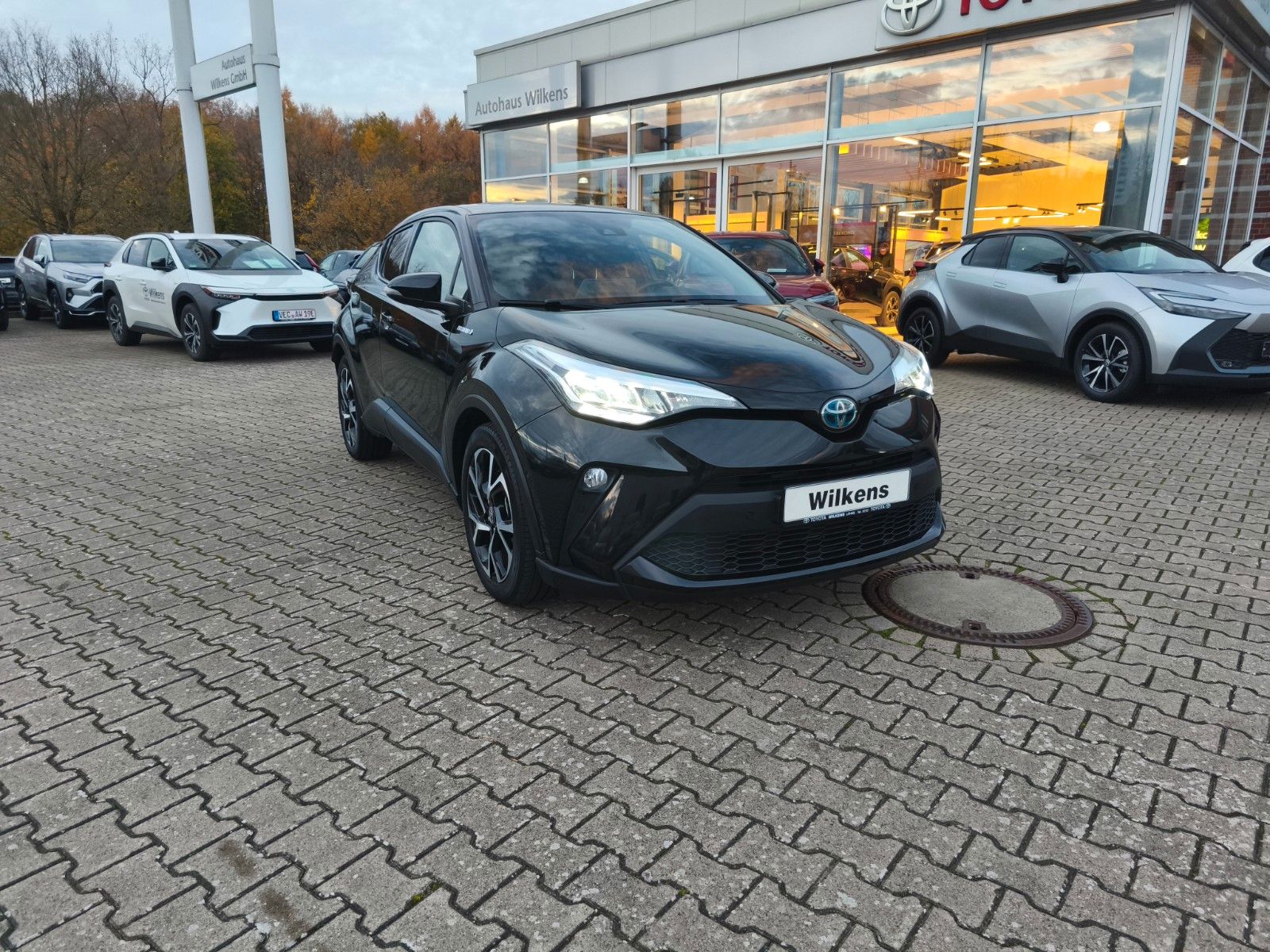 Toyota C-HR Hybrid Team D
