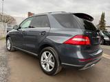 Mercedes-Benz ML 350 CDI BlueTec 4Matic/Pano/Alcantara/Xenon - Mercedes-Benz ML 350 in Mainz
